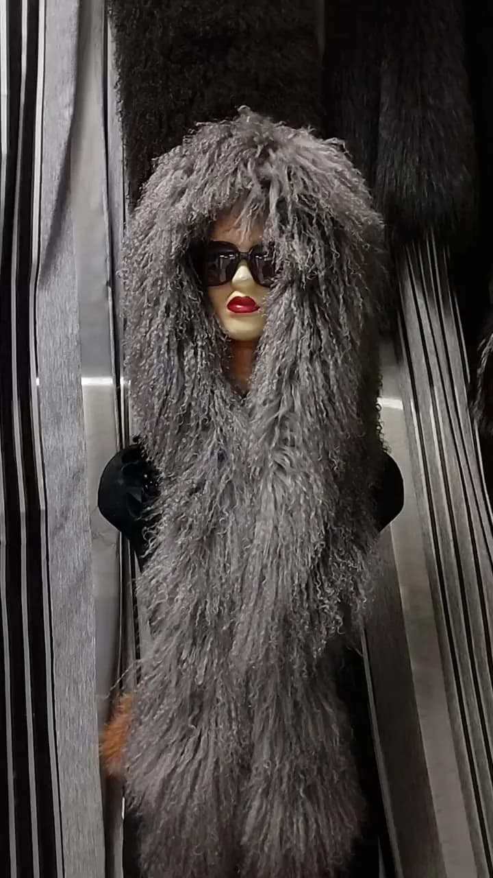 Лама